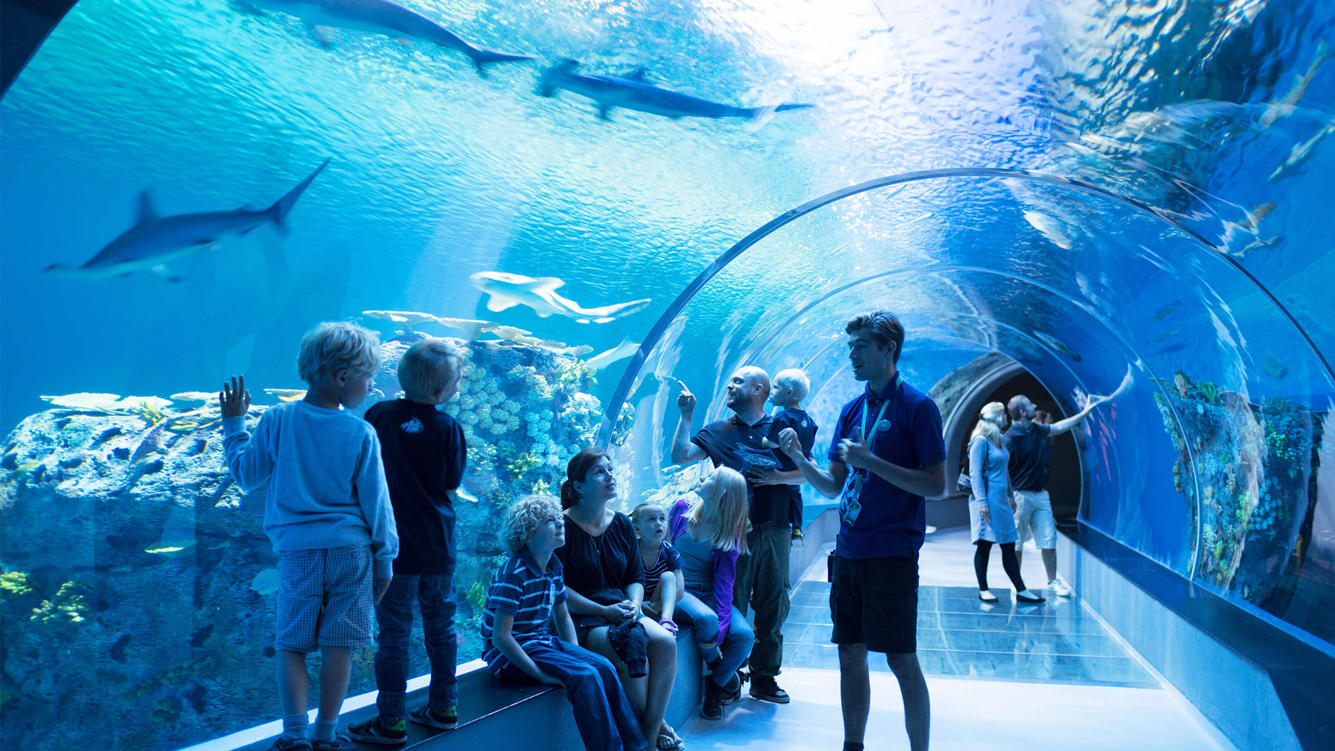 Aquarium
